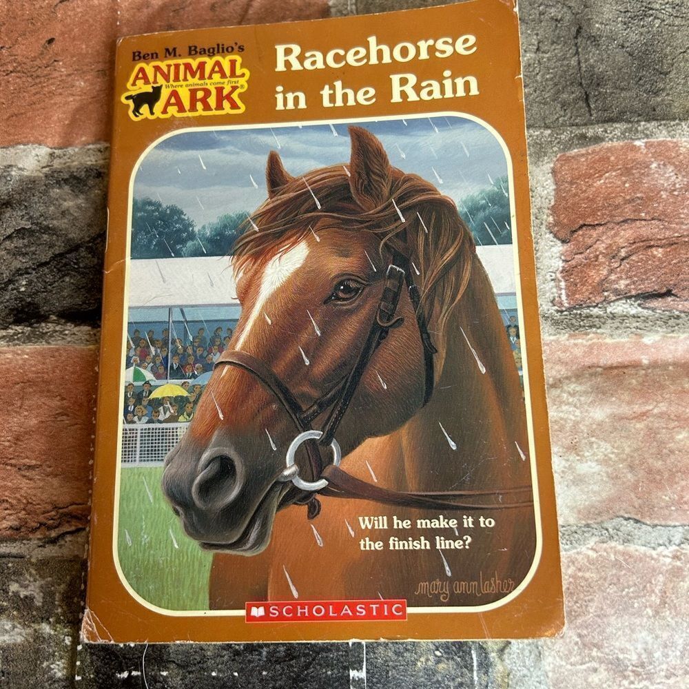 5 for‎ $25🔥Racehorse in the Rain (Paperback Book)